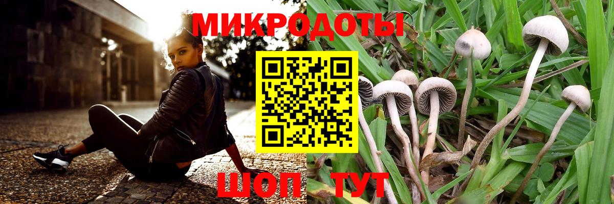 Кемерово  Псилоцибиновые грибы Cubensis  Вход с VPN 