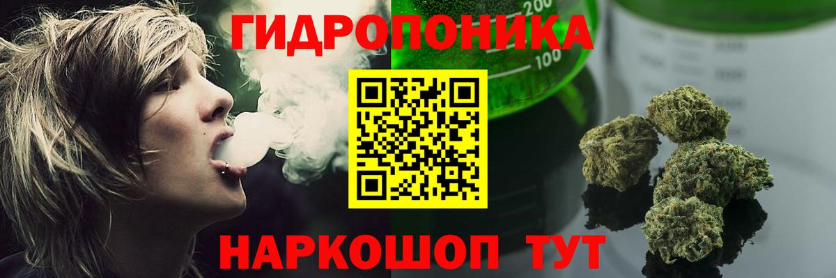Бошки марихуана OG Kush  Марихуана семена  Кемерово  Конопля план  Вход с VPN 
